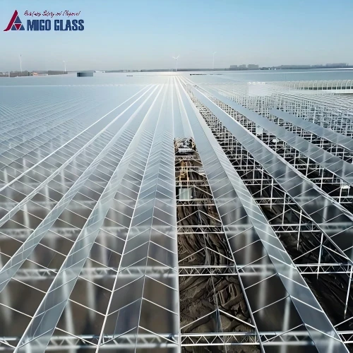 White Coated Greenhouse Glass factory